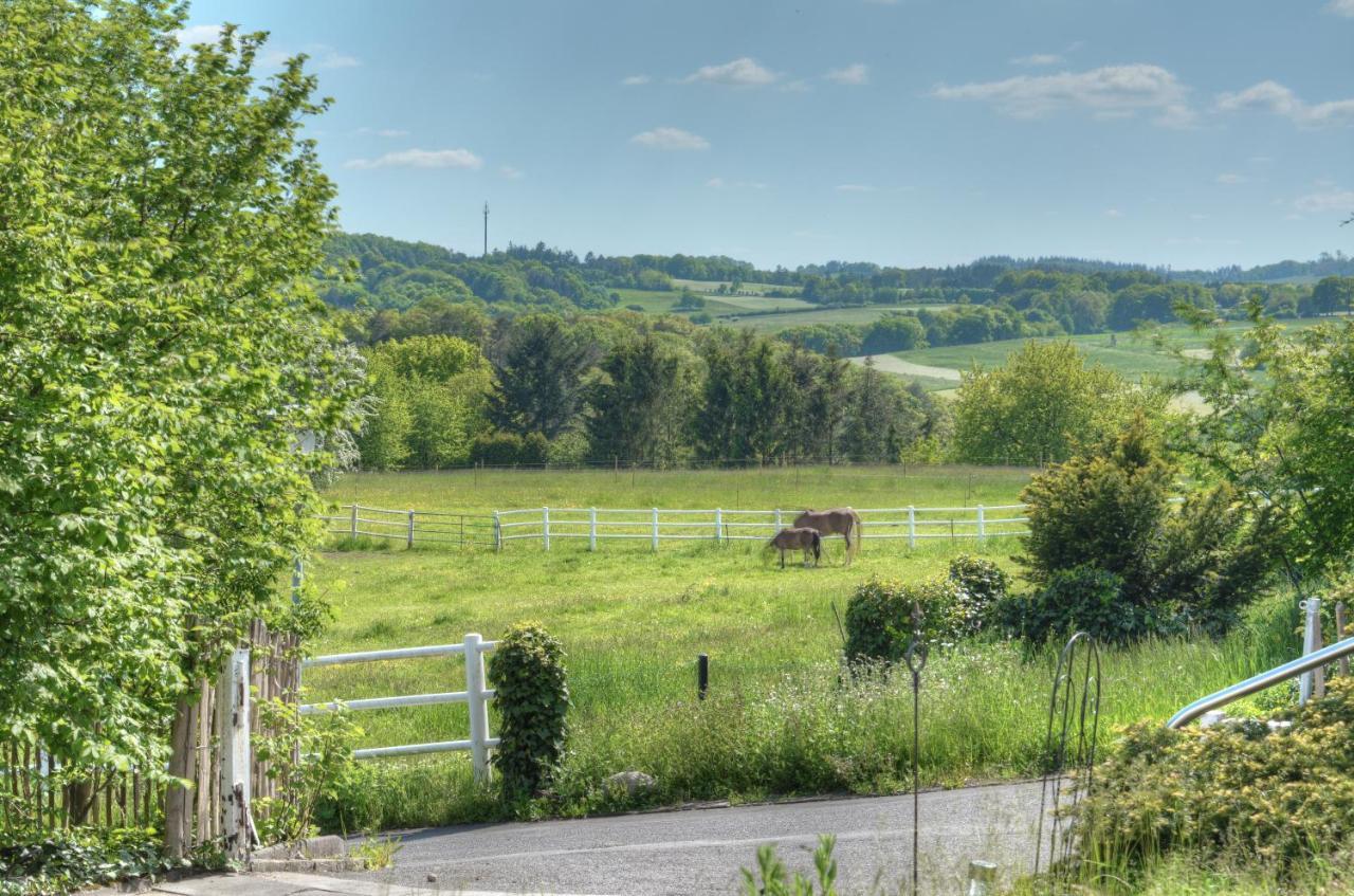 Ferienwohnung "Zum Paladin" Berg  Bagian luar foto